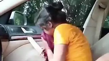 Desi sexy bhabi on car