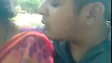 indian love birds in park