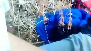 Village bhabi fucking in the field