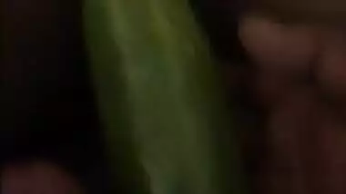 Desi girl takes cucumber in her tight pussy
